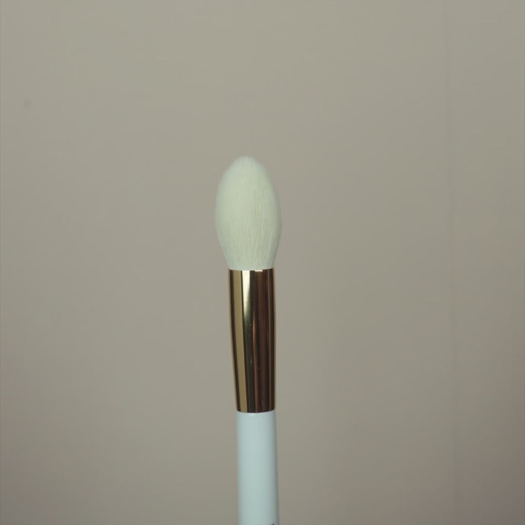 <tc>SET IT BRUSH</tc>