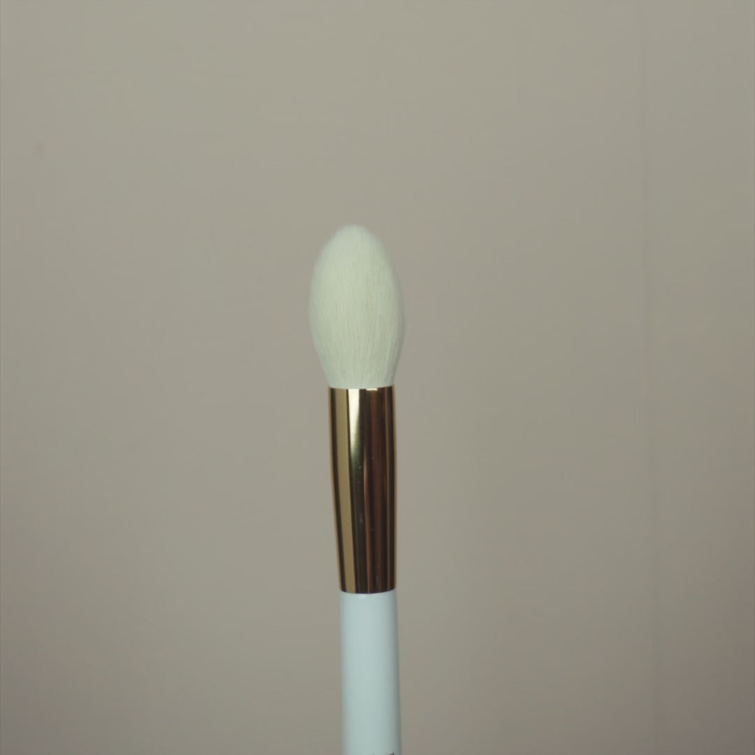 <tc>SET IT BRUSH</tc>