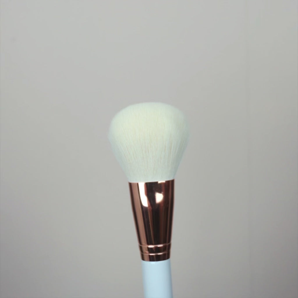 102 THE POWDER BRUSH 
