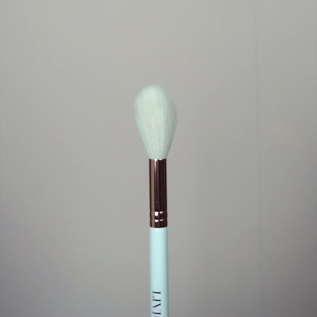 HIGHLIGHT YOUR LIFE BRUSH