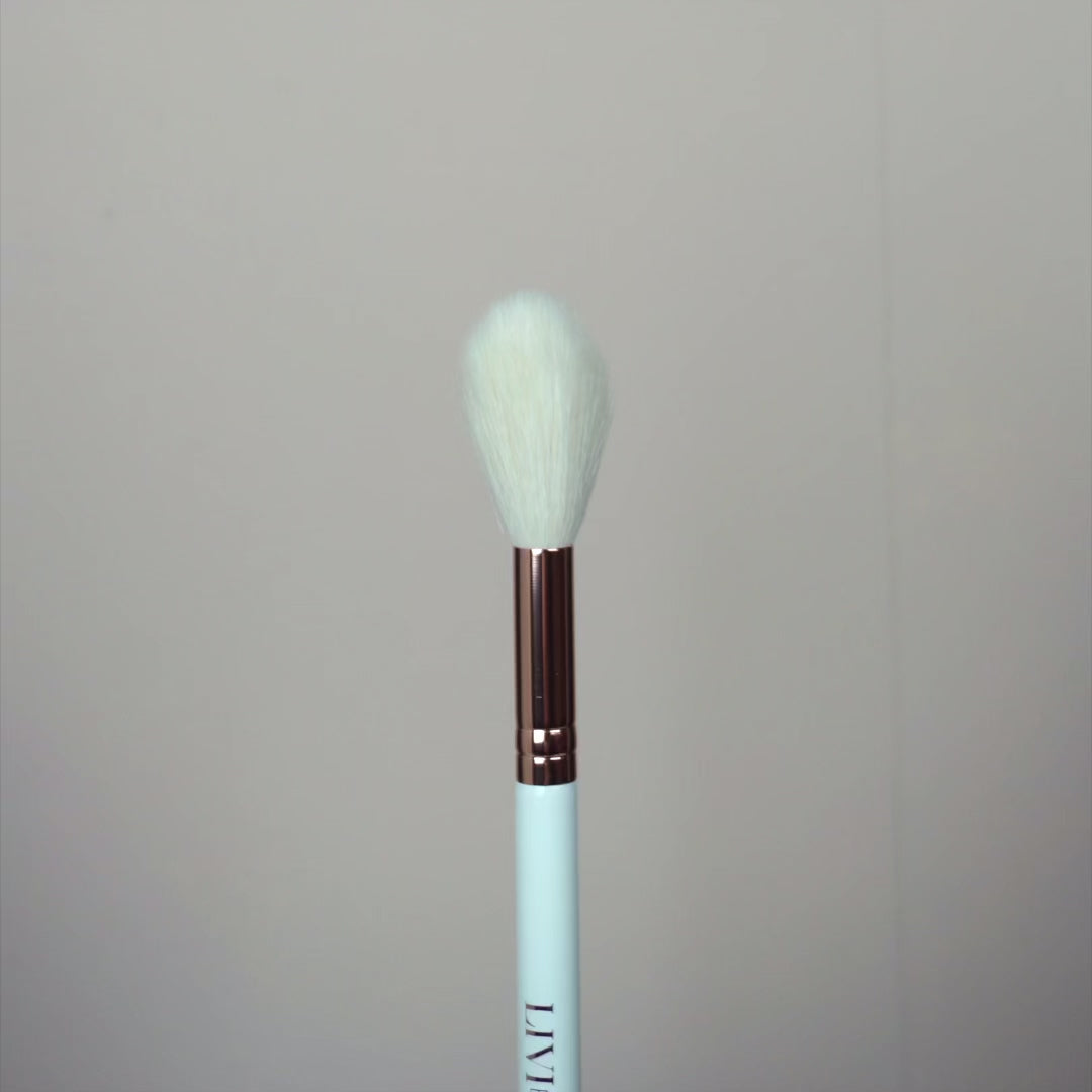 HIGHLIGHT YOUR LIFE BRUSH
