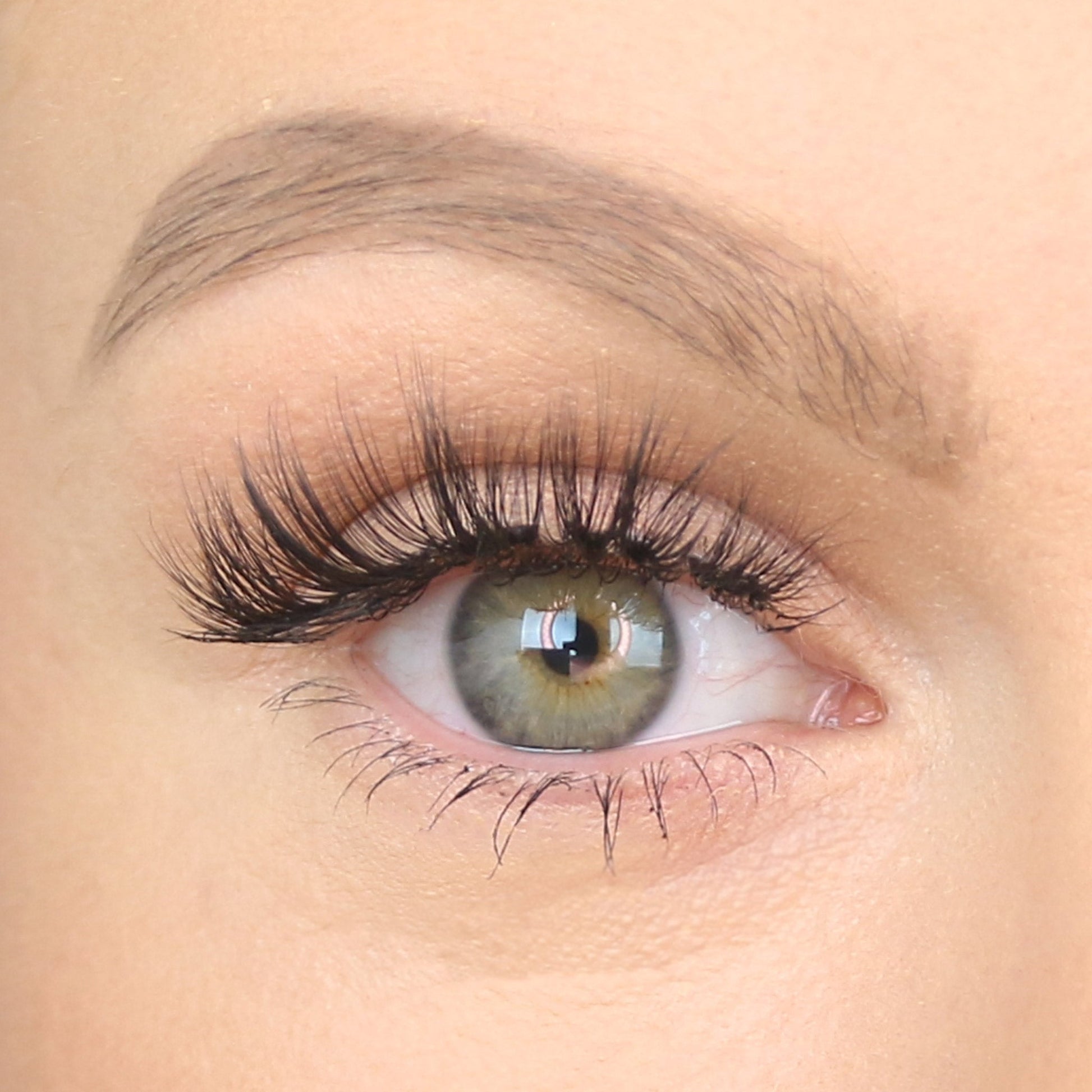 CONFIDENT Lashes LIVI BEAUTY 