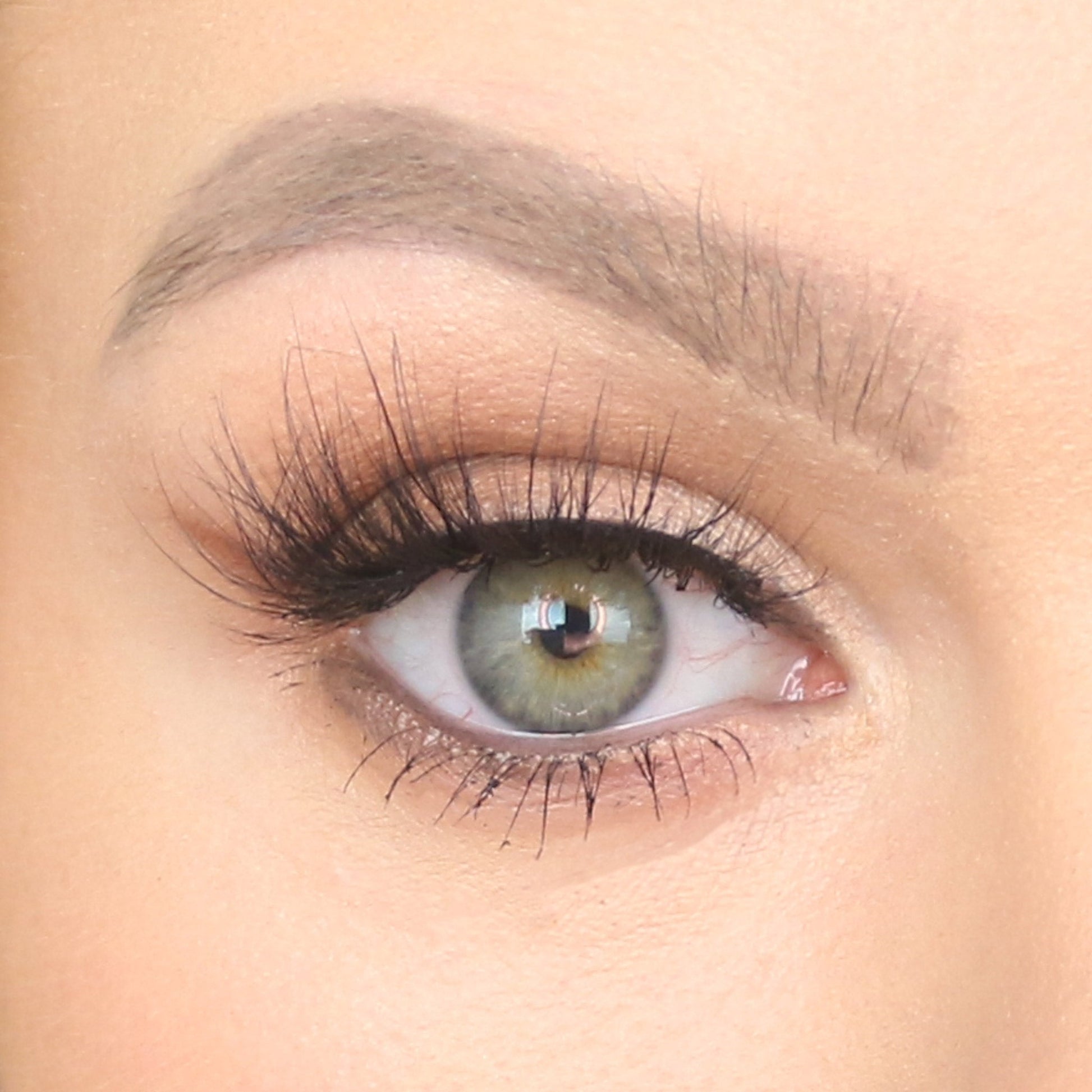 RIVIERA Mink Lashes LIVI BEAUTY 