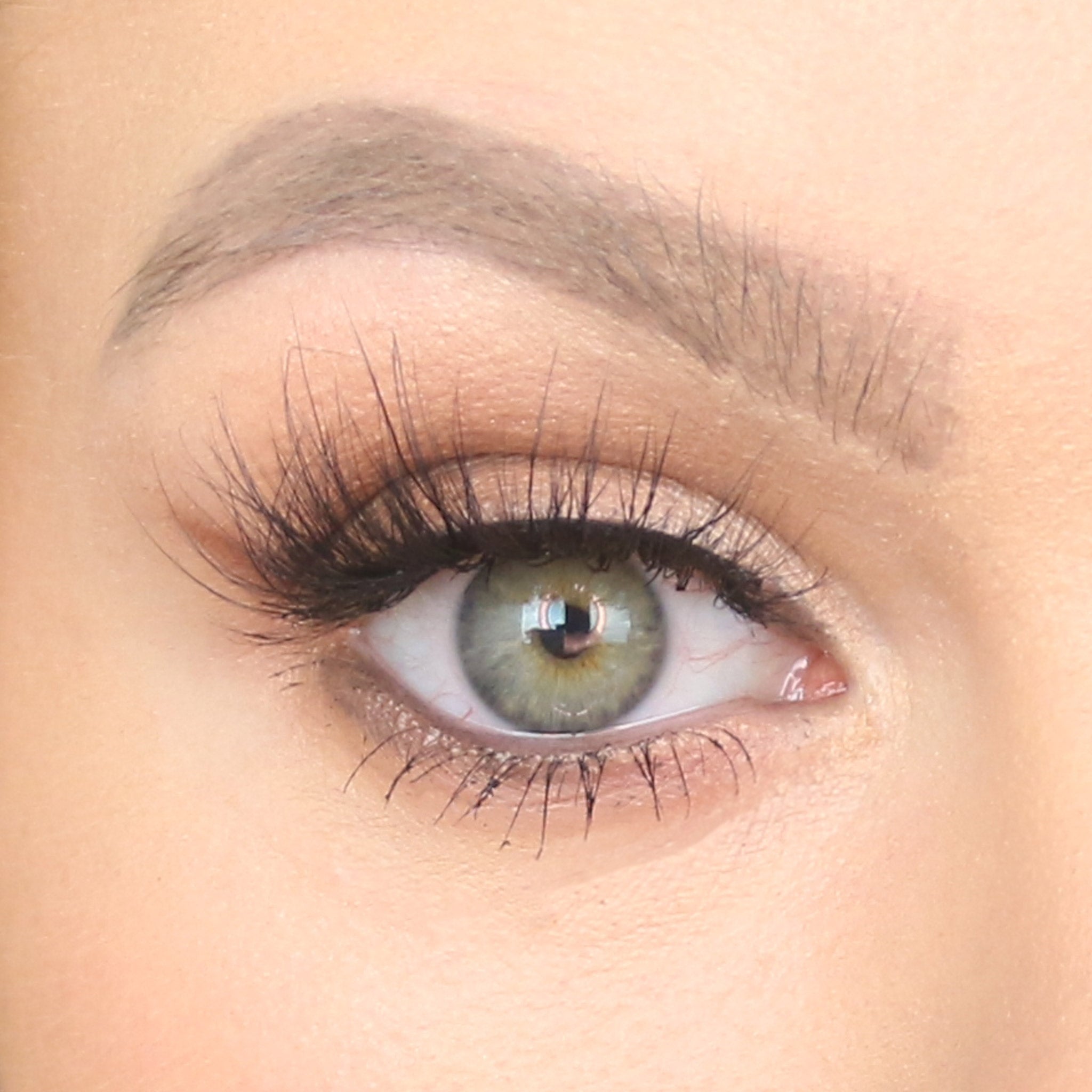 RIVIERA Mink Lashes LIVI BEAUTY 